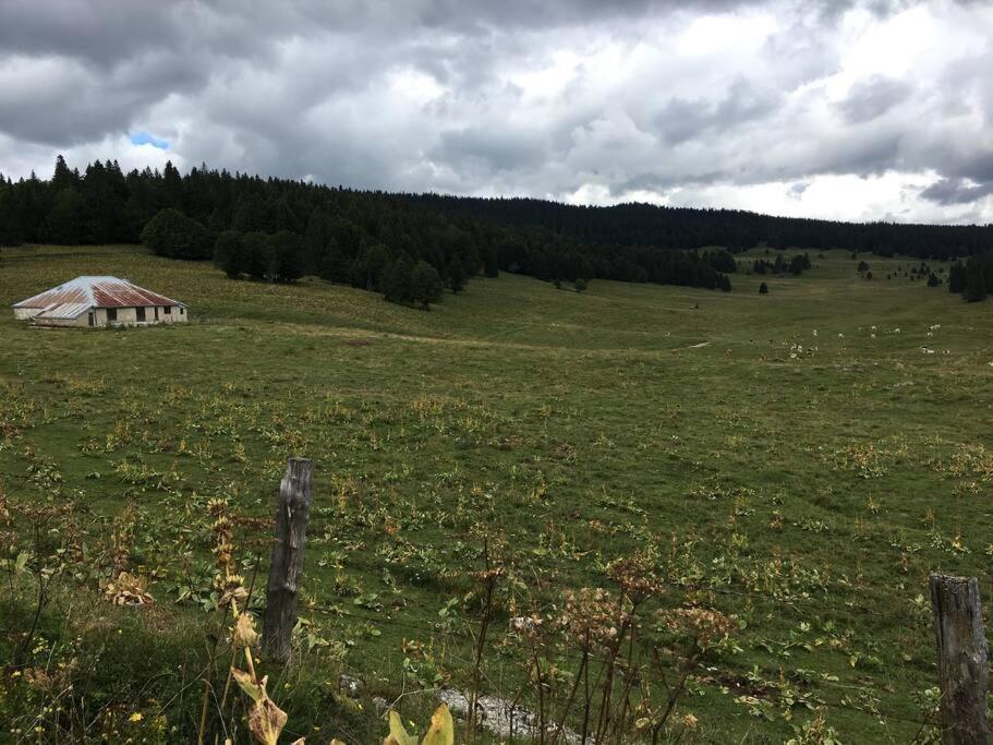 Au Coeur Du Village De Prémanon Extérieur photo